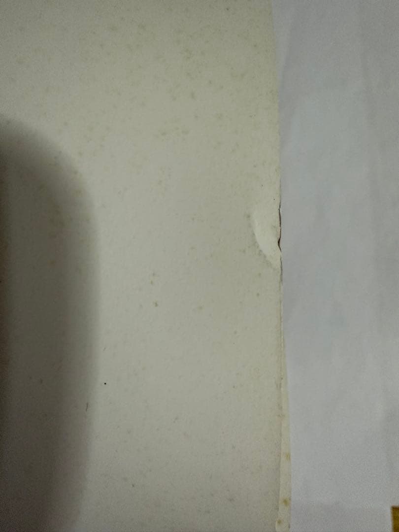 perfumeポスター【最終在庫1点限り】【匿名配送】【送料出品者負担】暗所保管