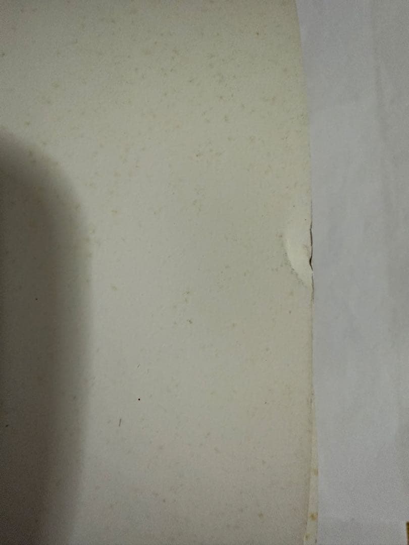 perfumeポスター【最終在庫1点限り】【匿名配送】【送料出品者負担】暗所保管