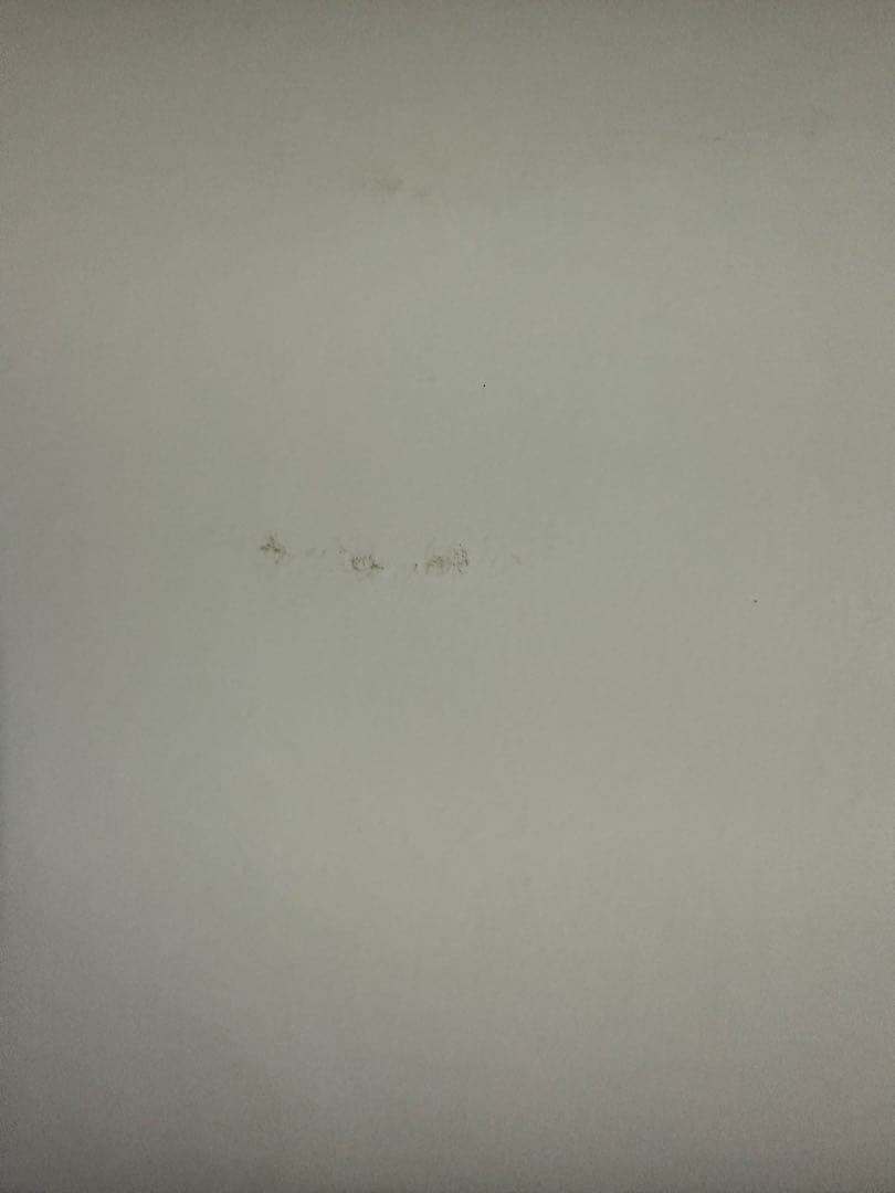 perfumeポスター【最終在庫1点限り】【匿名配送】【送料出品者負担】暗所保管