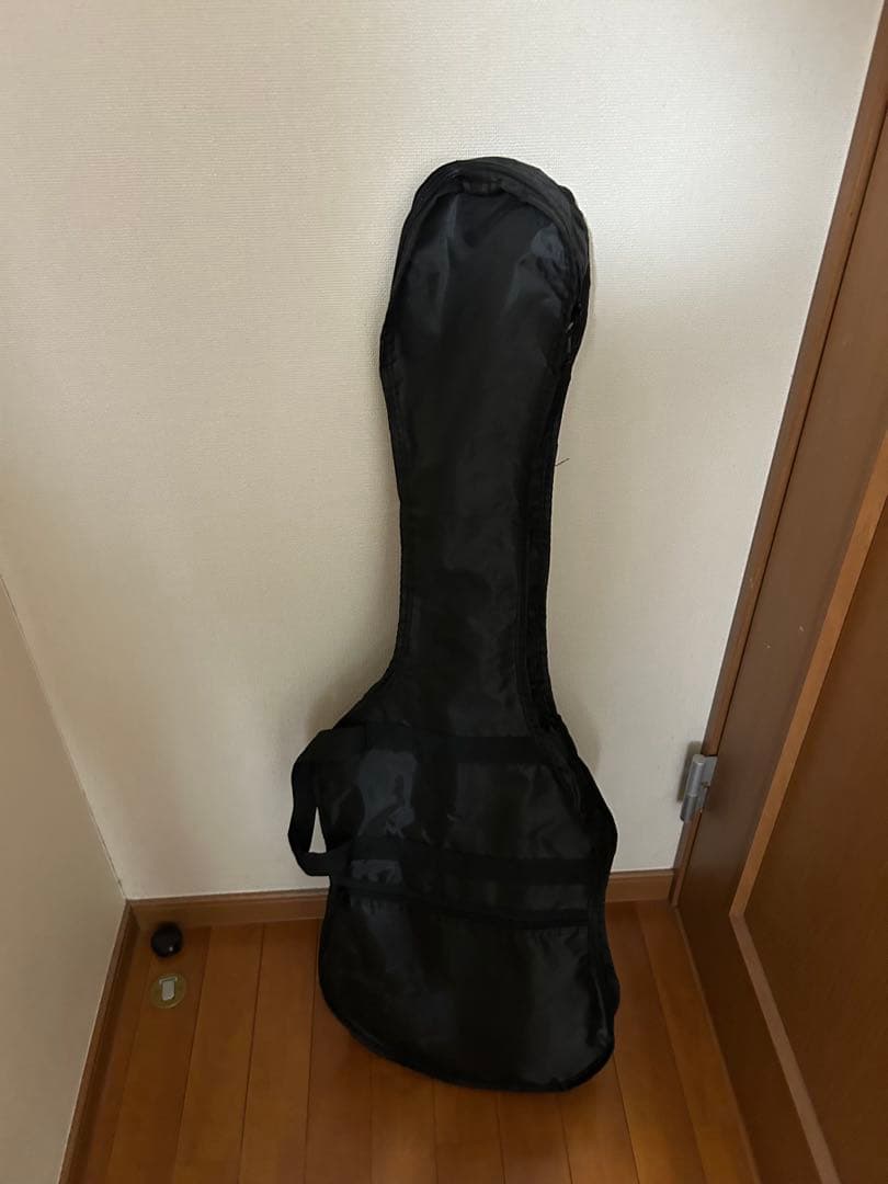 SELDER レッド エレキギター ストラトキャスタータイプ