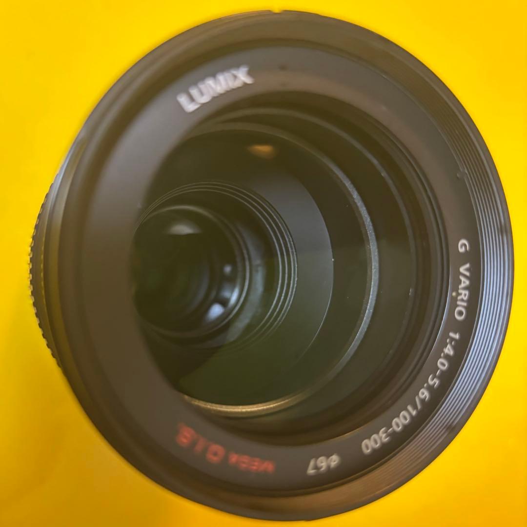 Panasonic LUMIX G VARIO 100-300mmF4-5.6Ⅱ
