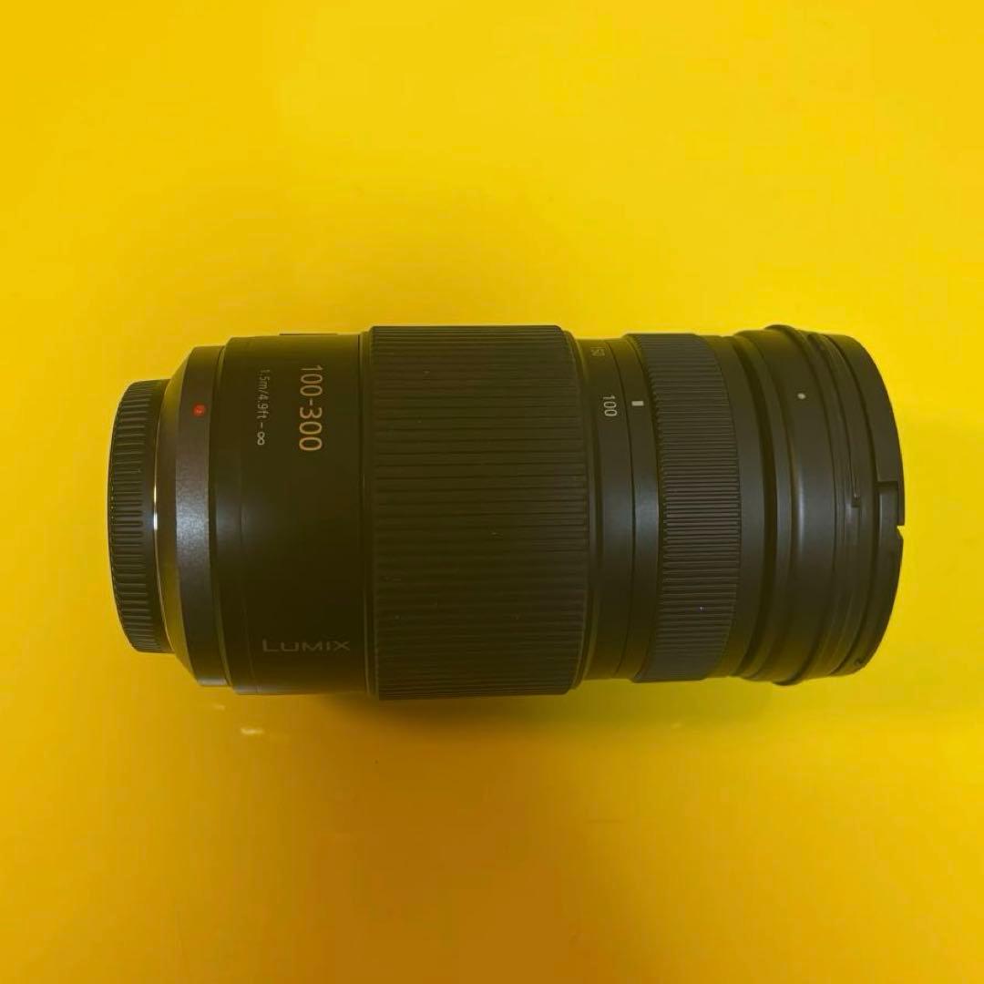Panasonic LUMIX G VARIO 100-300mmF4-5.6Ⅱ