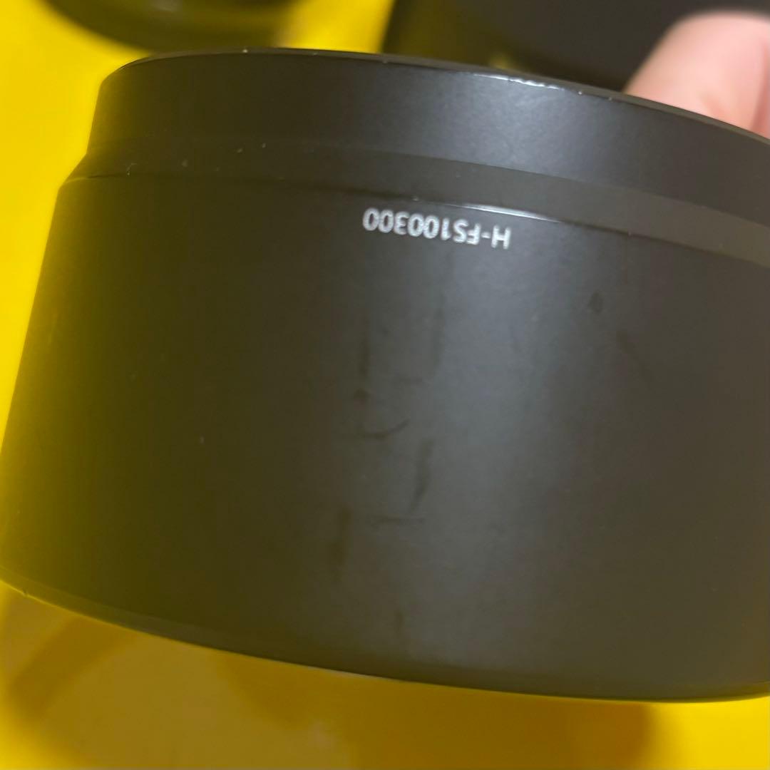 Panasonic LUMIX G VARIO 100-300mmF4-5.6Ⅱ