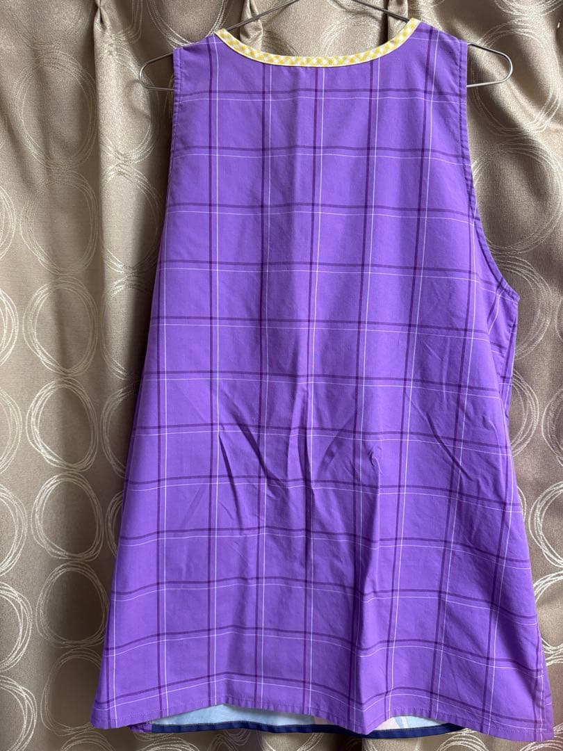 アラジンエプロン　保育士　ディズニー　　レア柄