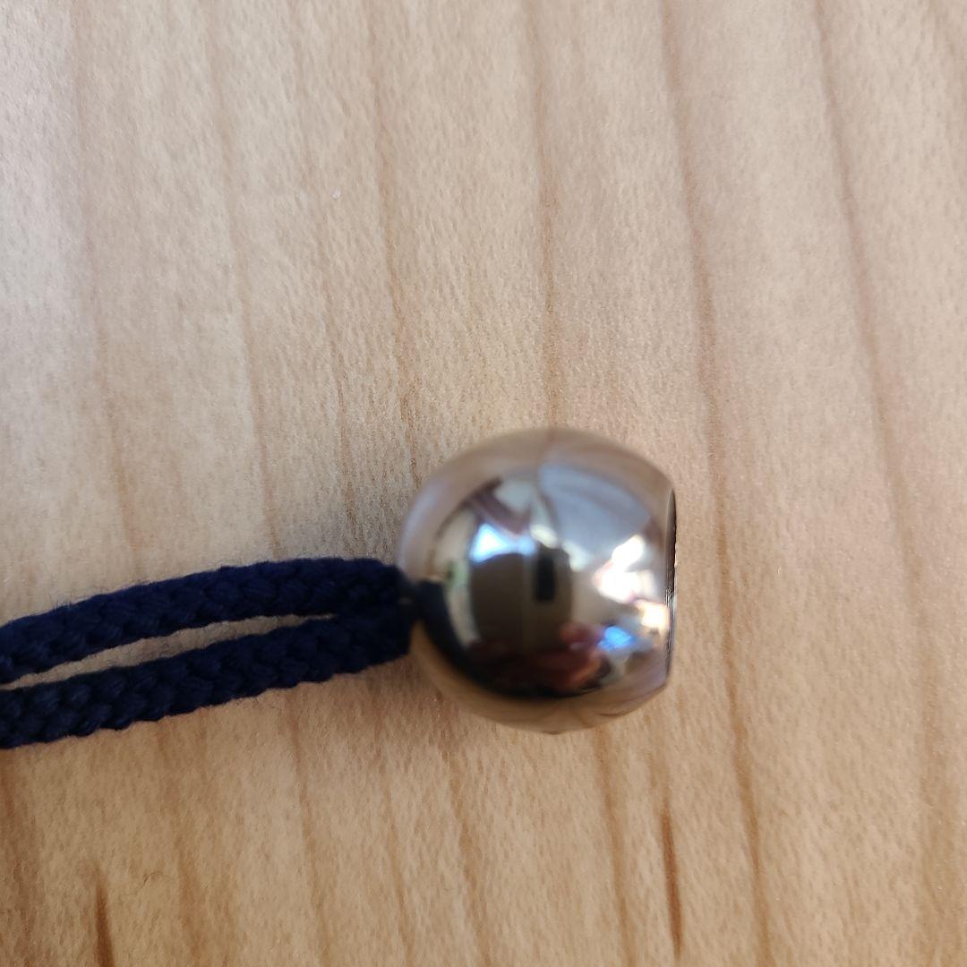 【未使用品】VERYコラボ　ボトルポーチ　シュトロイブルーメ　学校フェイラー