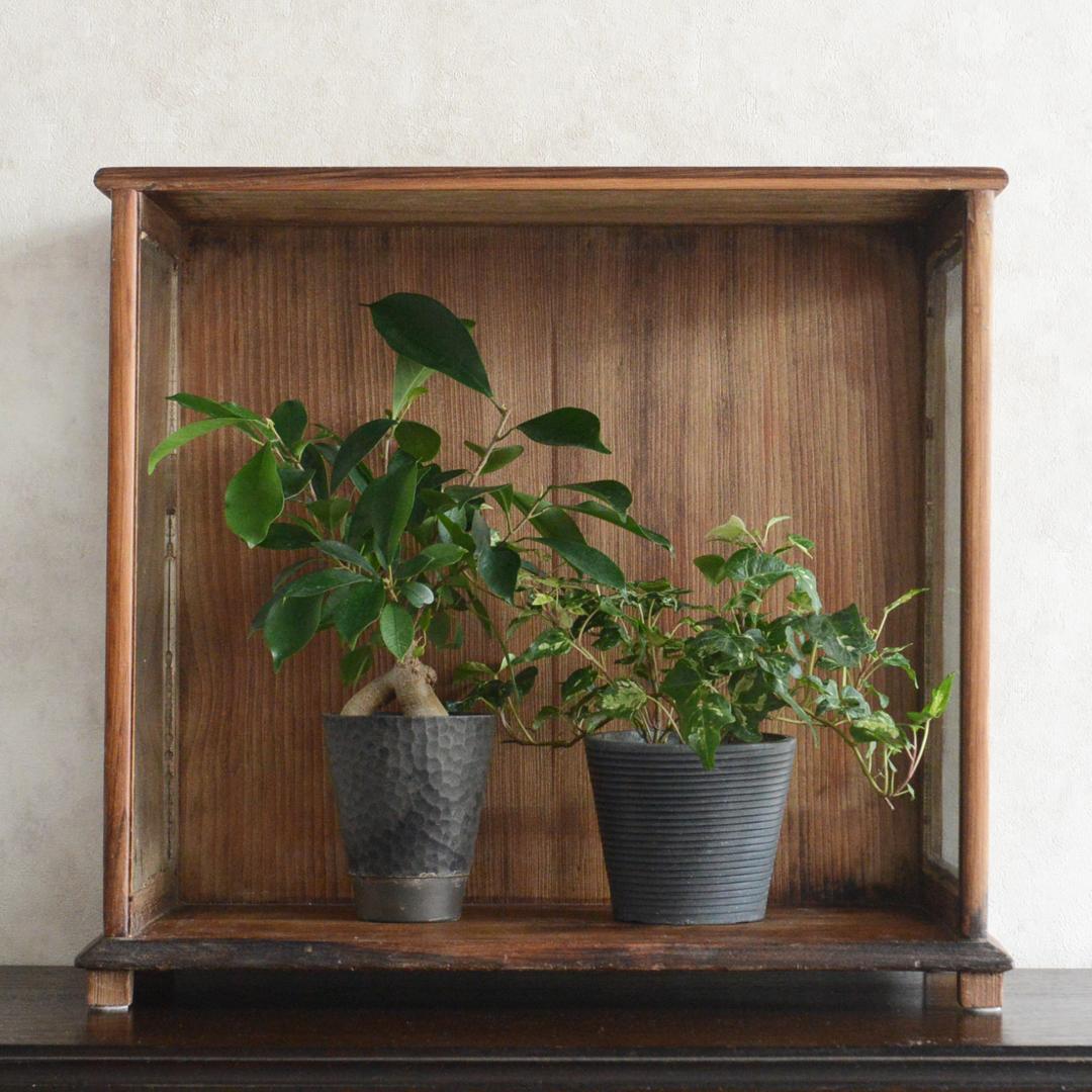 ヴィンテージ チーク ガラスケース コレクションケース ディスプレイ 陳列ケース