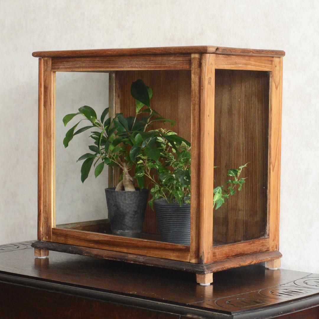 ヴィンテージ チーク ガラスケース コレクションケース ディスプレイ 陳列ケース