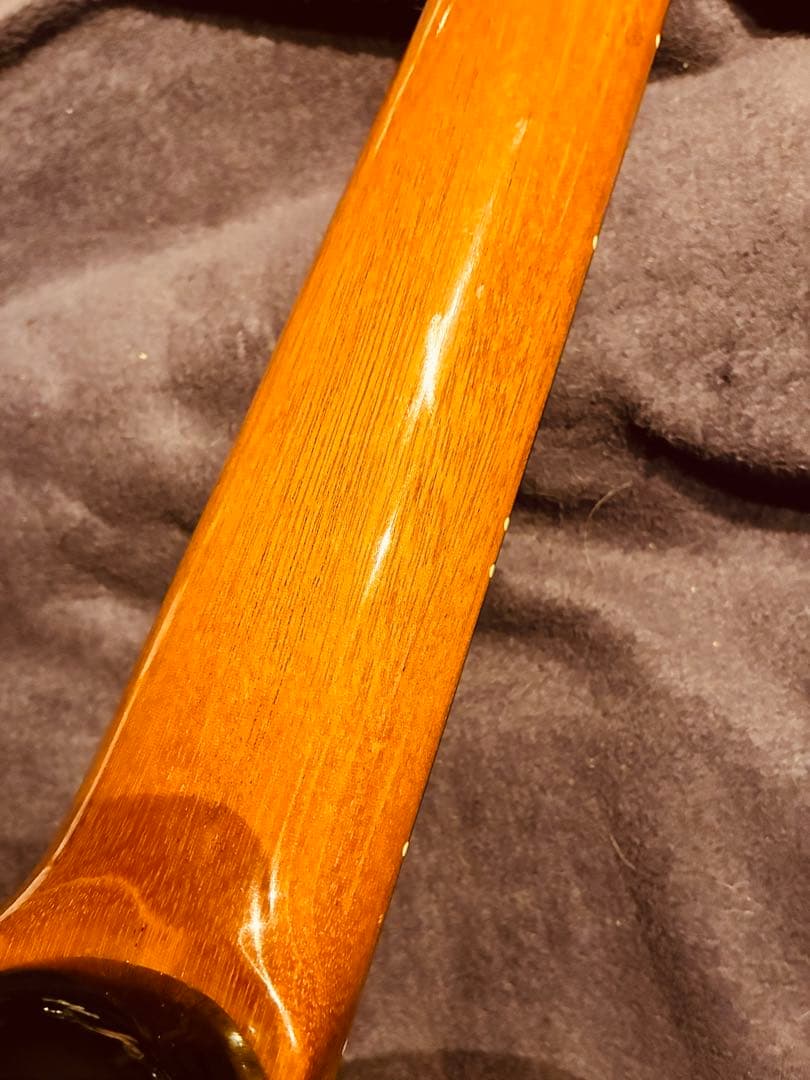 ◻️超希少!美品!◻️P-PROJECT AI-N エレガットギター