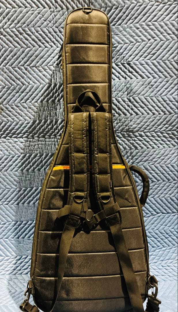 ◻️超希少!美品!◻️P-PROJECT AI-N エレガットギター