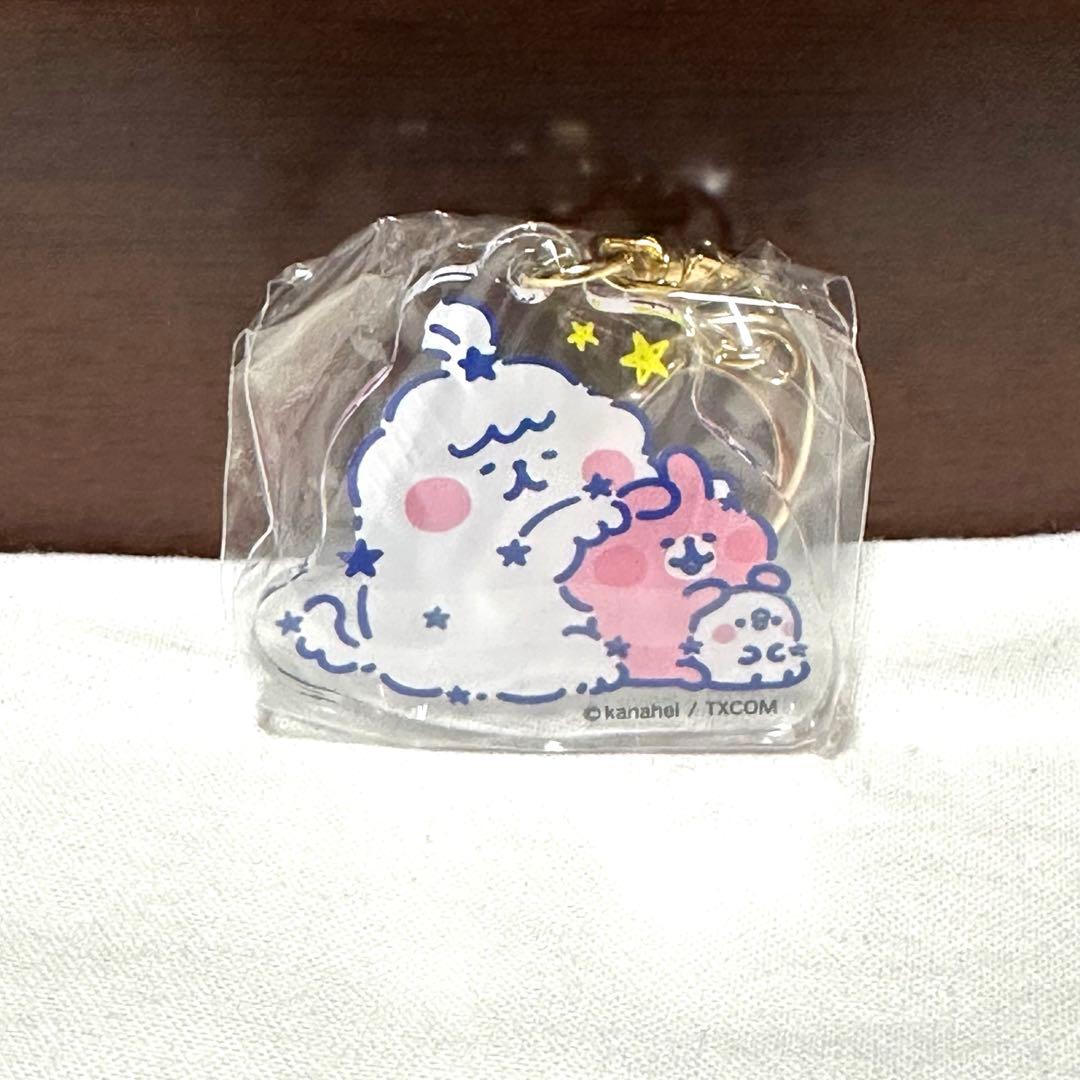 カナヘイ　ピスケとうさぎ　ヴィレッジヴァンガード限定　アクリルキーホルダーセット