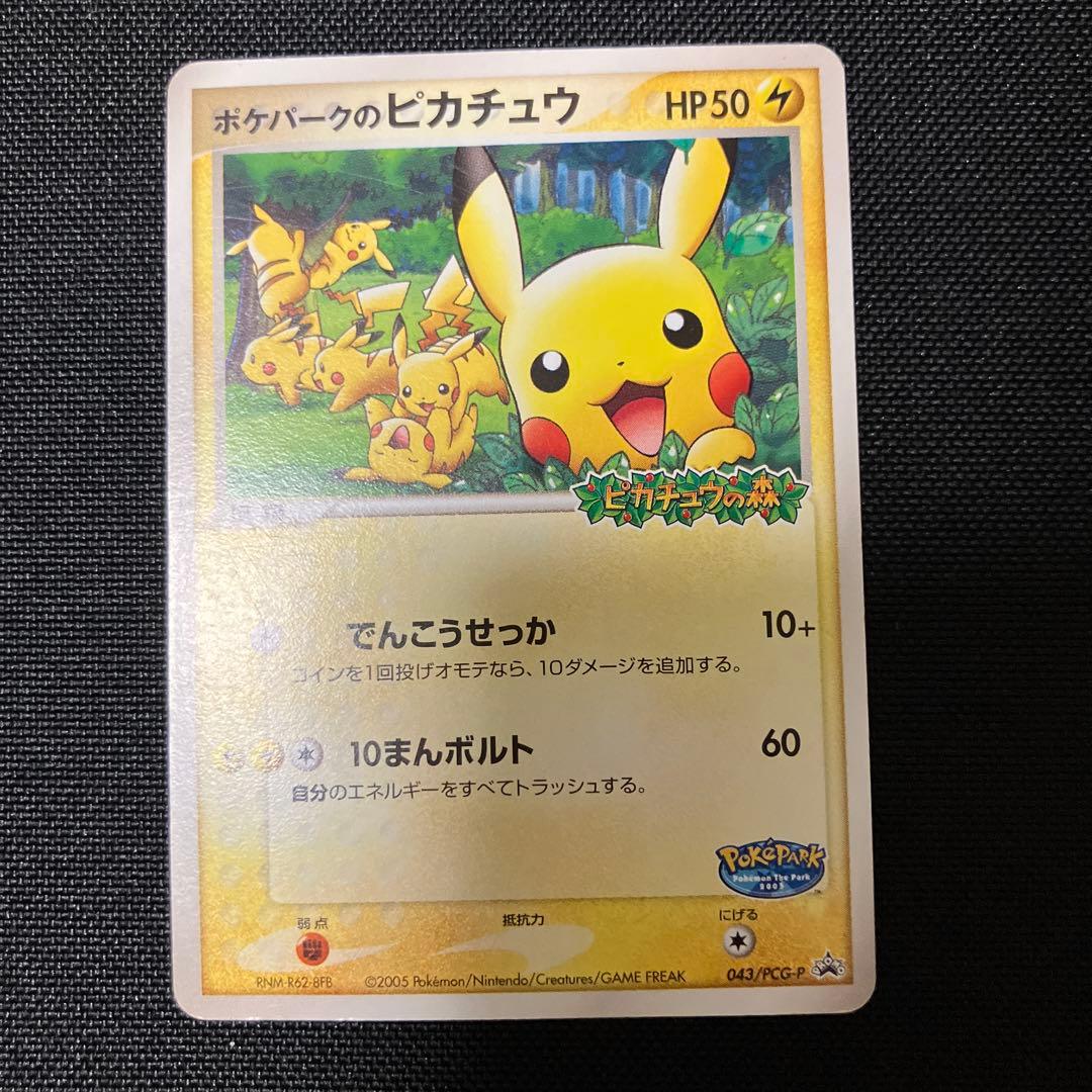 ポケパーク　ポケモンカード　カードホルダー