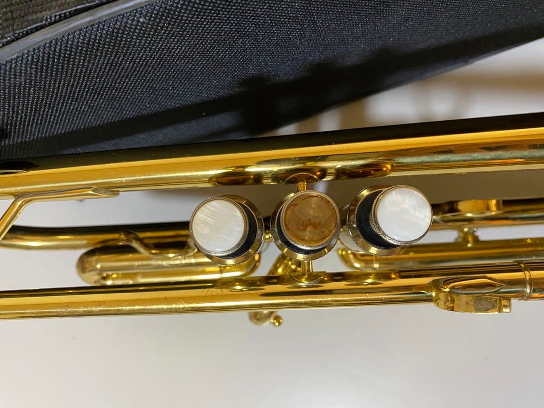 トランペット Mavis MTR-100GL