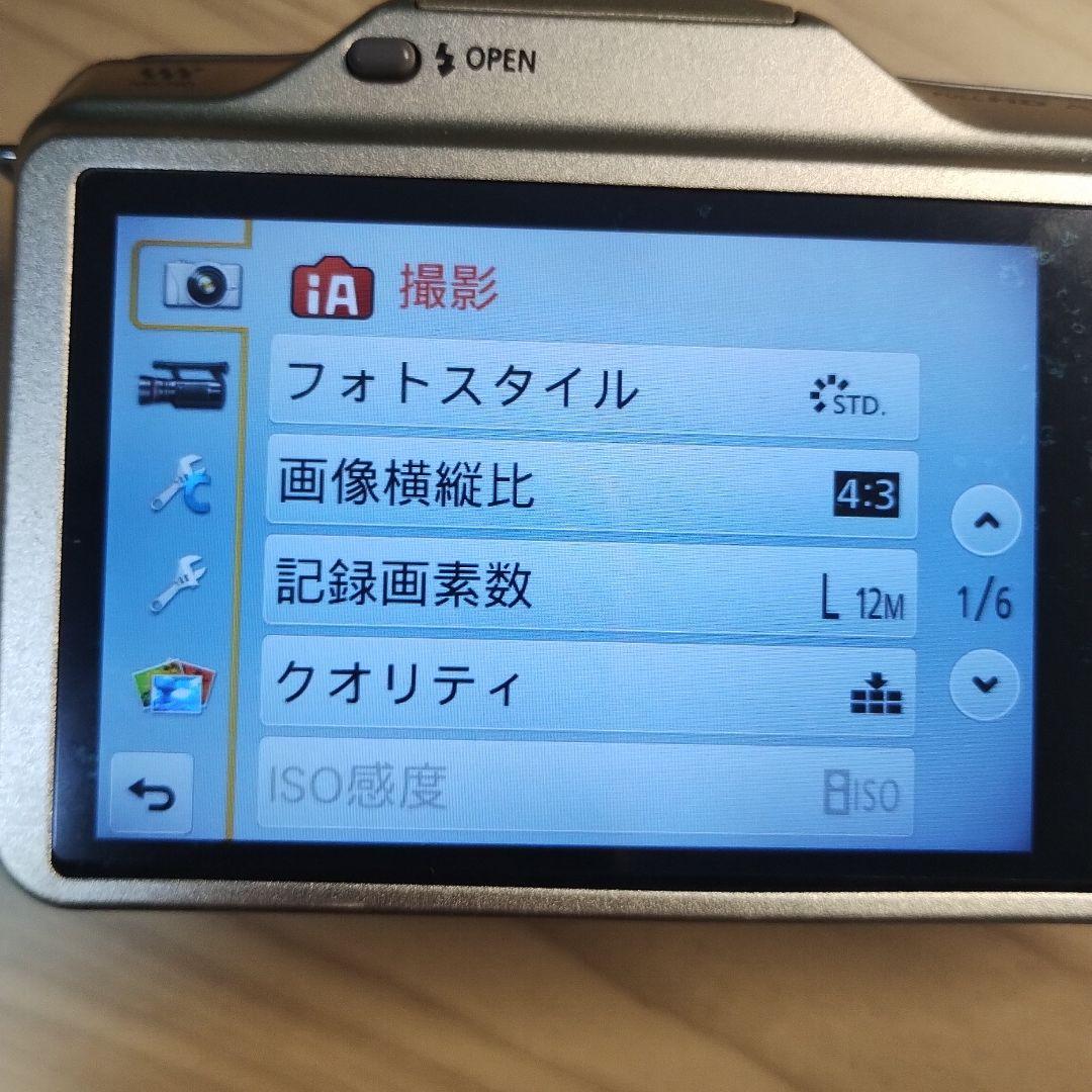 Panasonic DMC-GF5 ミラーレス一眼＋バッテリー2個　※レンズ別売