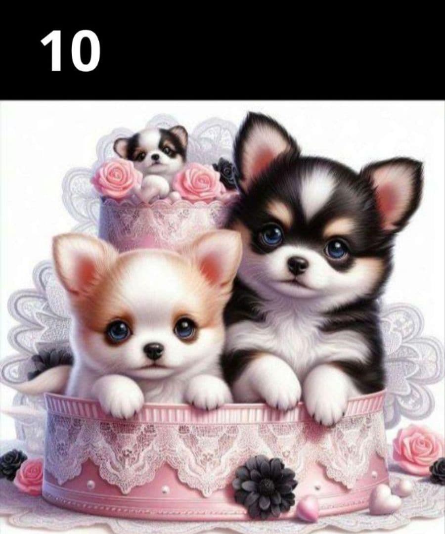 ななちゃん様　オーダーページ　1/29