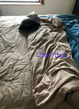 【青い】コットン100 ベッド用品 ins風 3点セット5