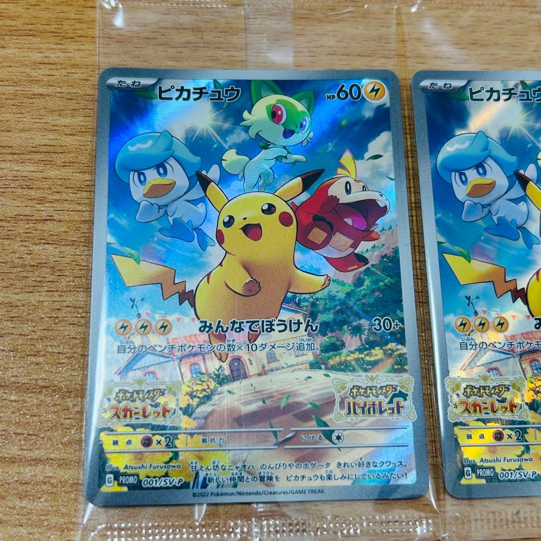 ポケモン　プロモカード　みんなでぼうけん