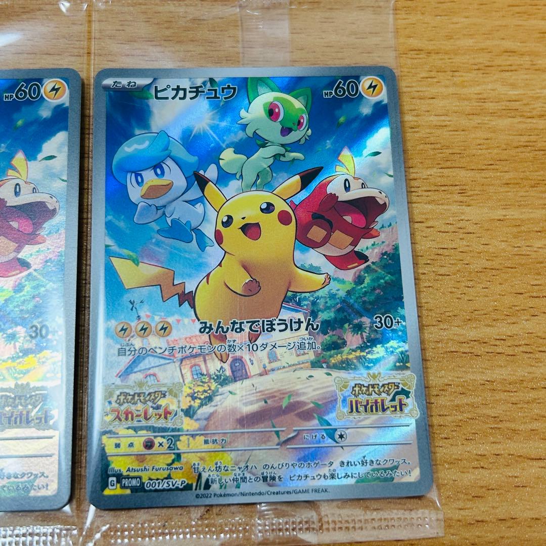 ポケモン　プロモカード　みんなでぼうけん