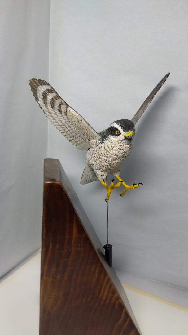 Kana　木彫りの鳥　オオタカ獲物捕獲直前