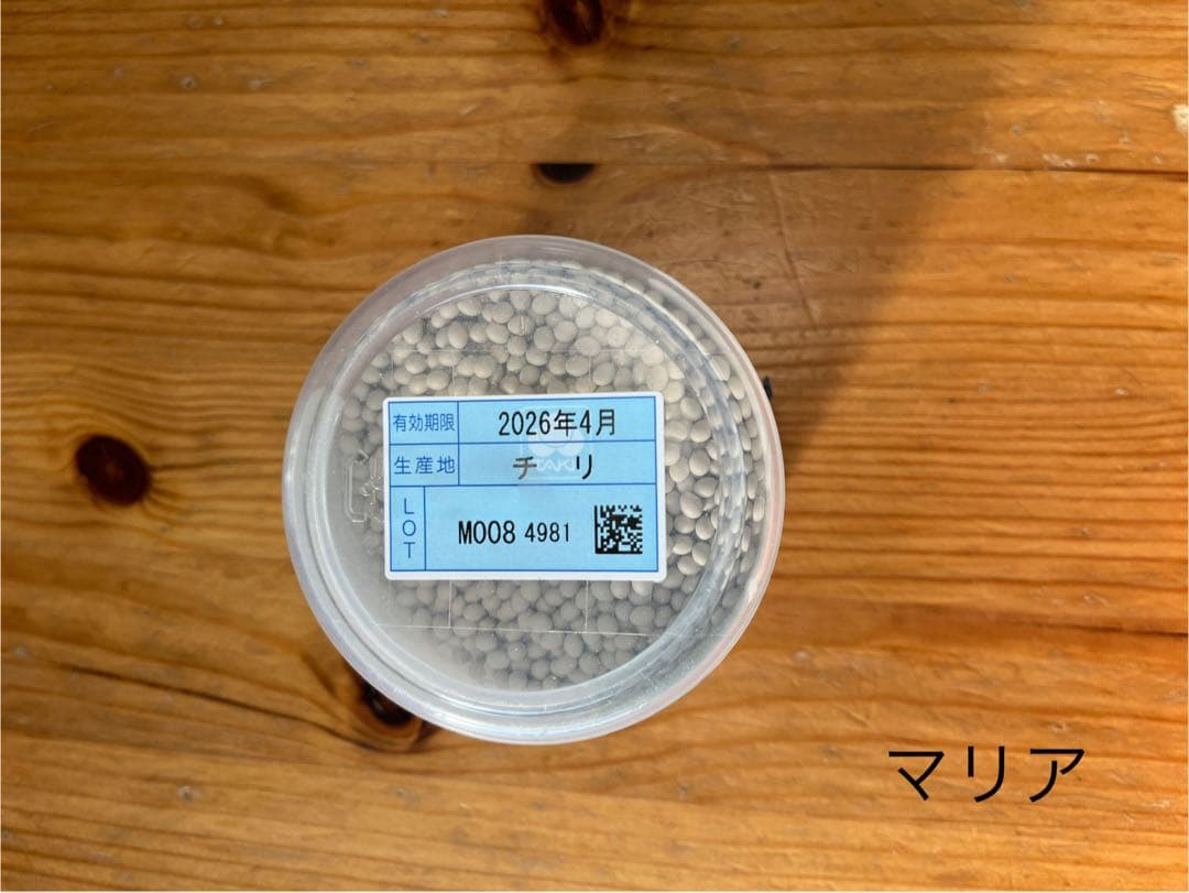 【新品】タキイ レタス種子 マリア ペレット 5000粒 × 2個セット