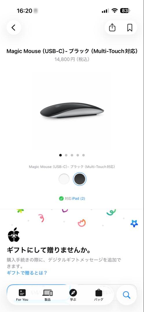 Magic Mouse (USB-C) - ブラック