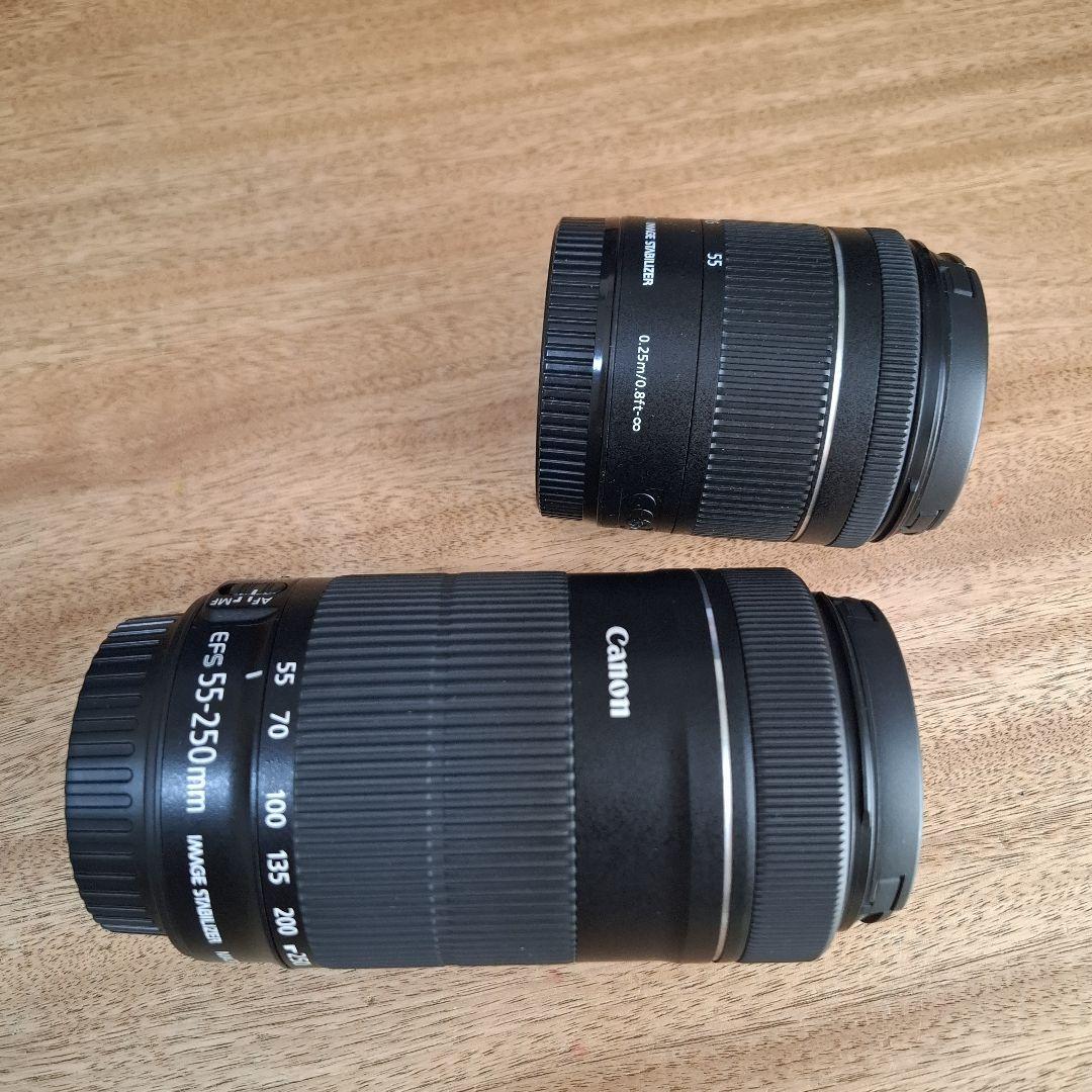 Canon EF-S 55-250mm レンズ