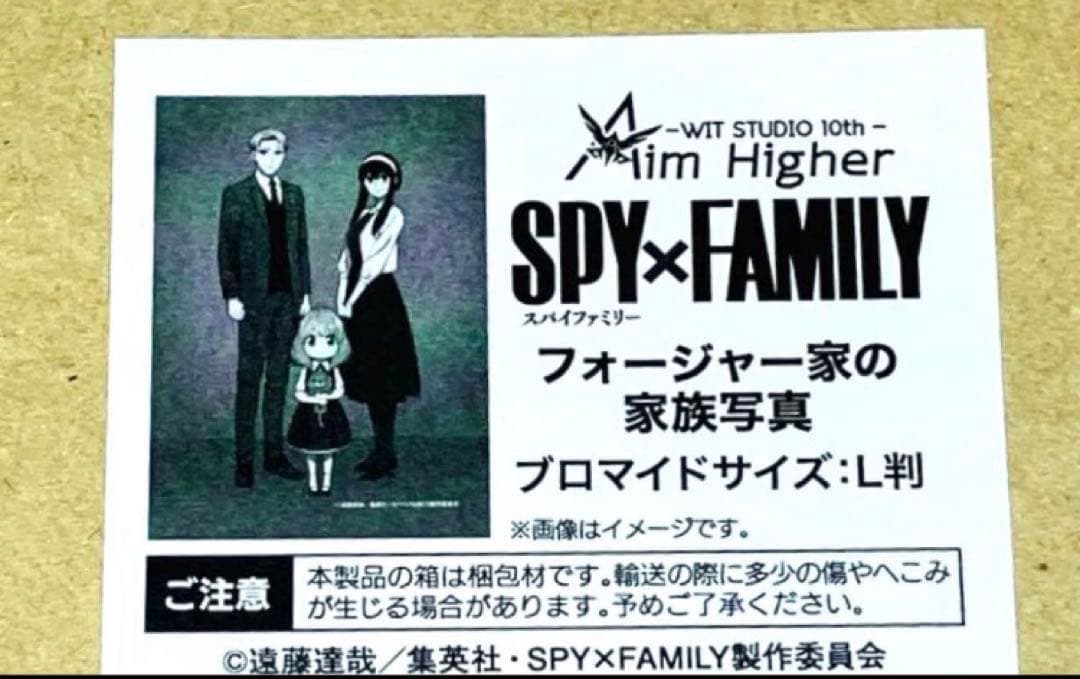 スパイファミリー SPY×FAMILY フォージャー家の家族写真 アーニャ 新品