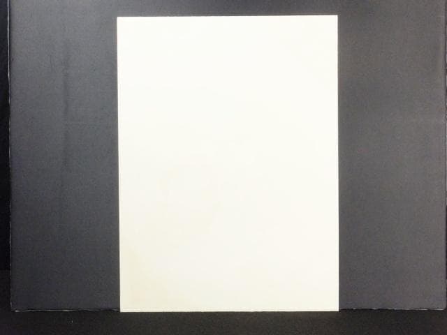 現代美術 大浦信行　直筆サイン『遠近を抱えてヨリ Ⅳ』リトグラフ　0317P