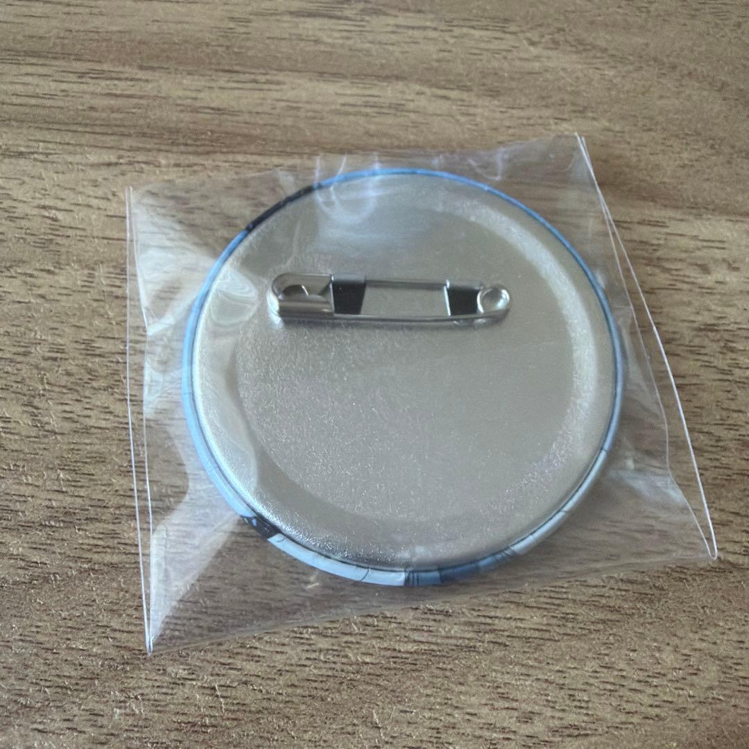 時光代理人　缶バッジ　ヒカル　陸光 2点