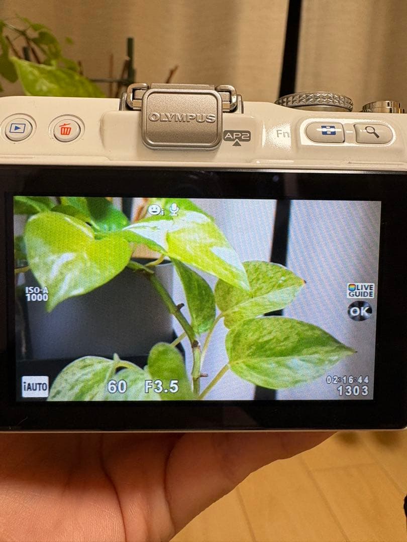 OLYMPUS PEN Lite E-PL3 ミラーレス