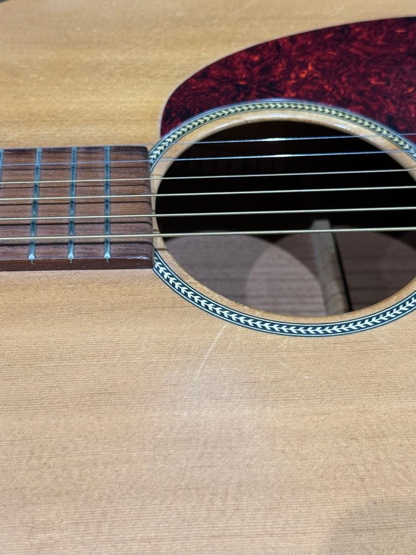 Martin&Co DM Mahogany Dreadnought USAモデル