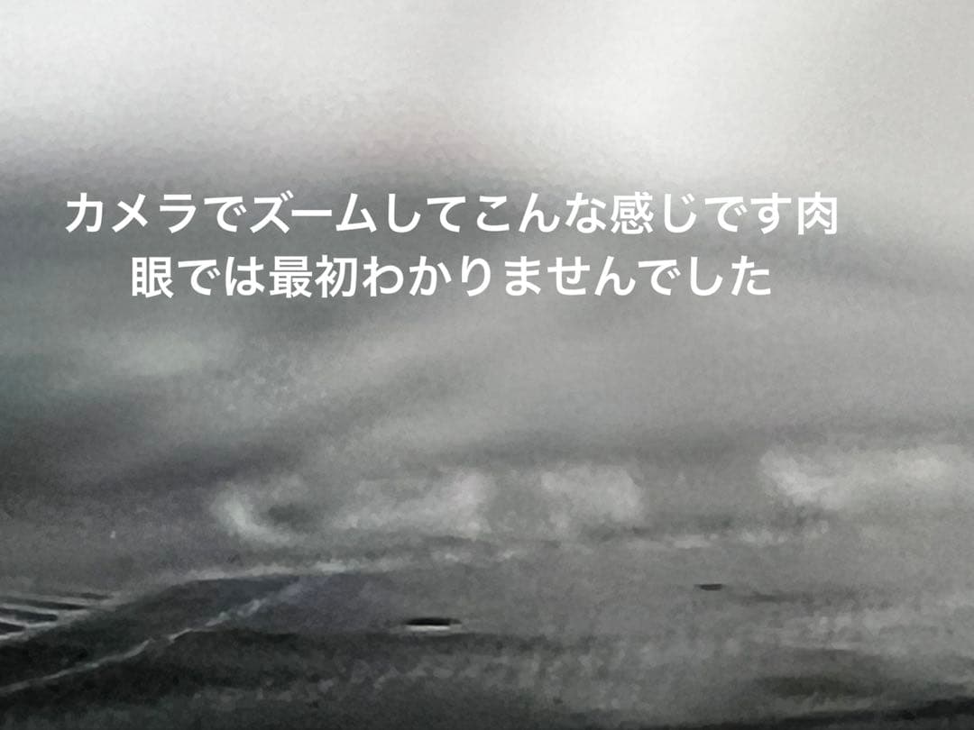 ポケモン カード ルギア V SA パラダイムトリガー
