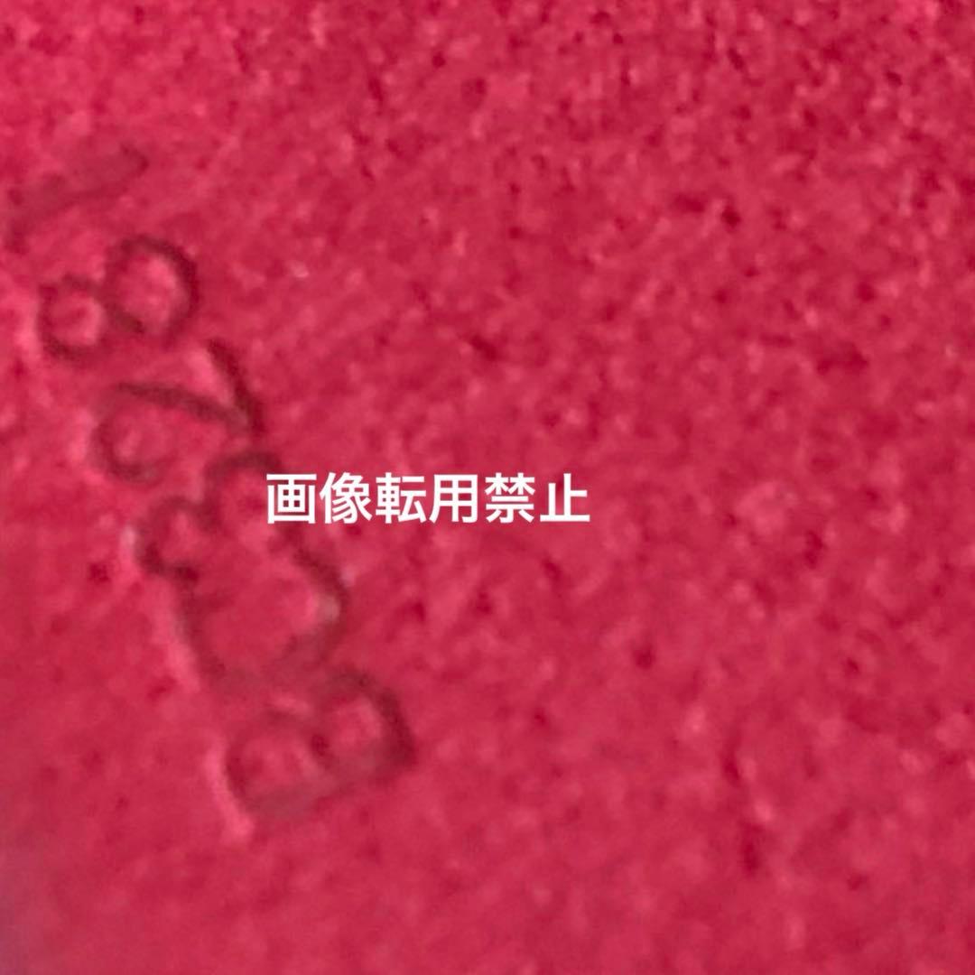 LOUIS VUITTON ルイヴィトン 確実正規品 iPhone12 ケース