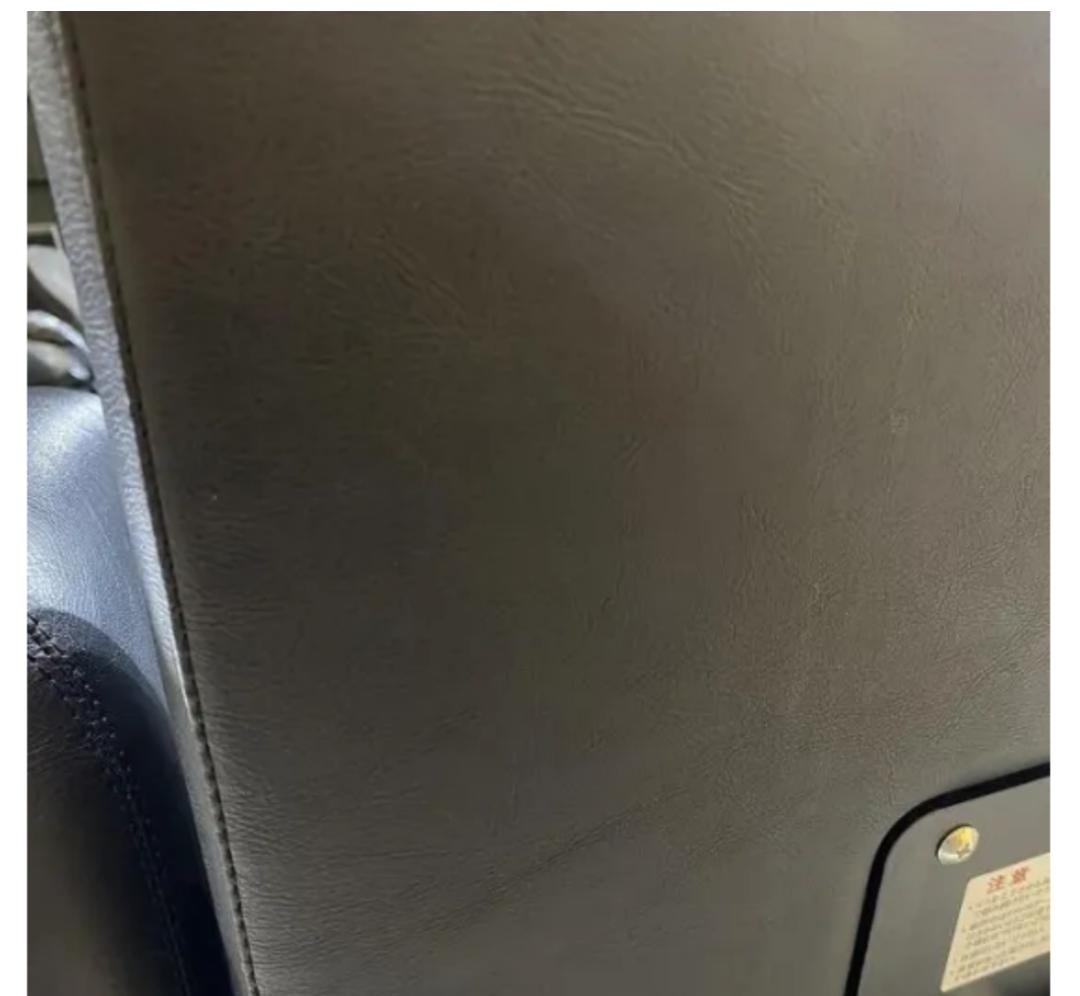 電動シャンプーチェアALVIN-Sofa ステップ付・レッ グレスト固定タイプ