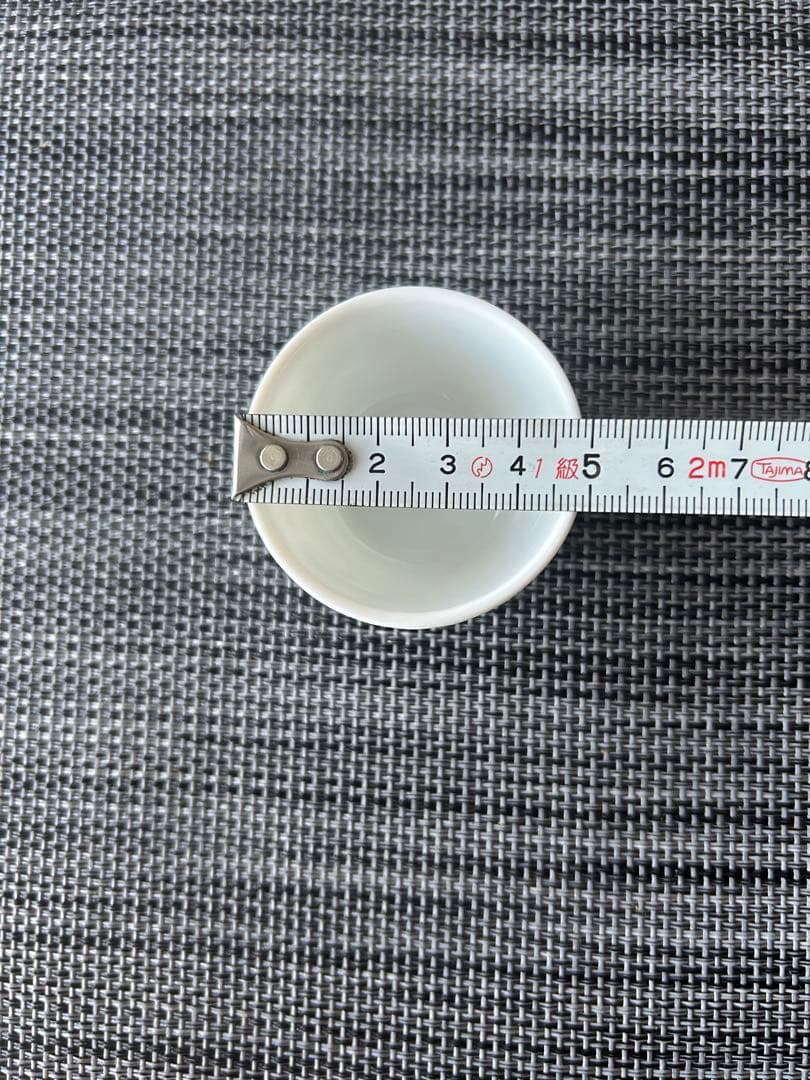 【美品】リチャードジノリ　長方形プレート＆ソースボウル