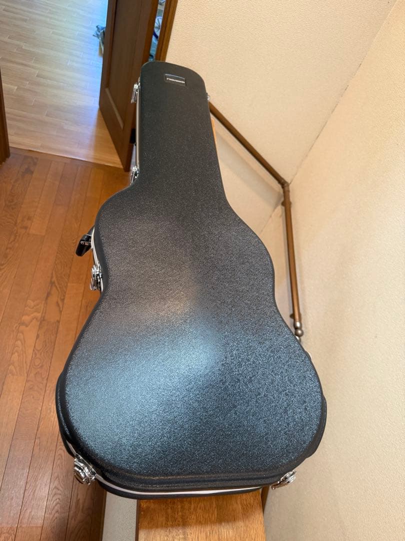 【格安出品】PRS SE STANDARD
