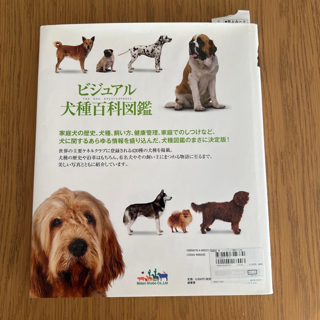 ビジュアル犬種百科図鑑／神里 洋　犬の図鑑　美品