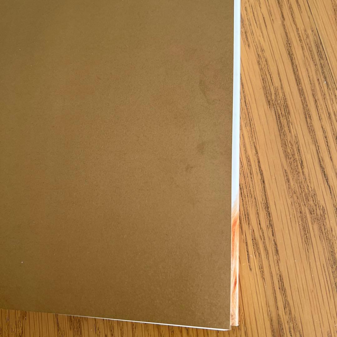 ビジュアル犬種百科図鑑／神里 洋　犬の図鑑　美品