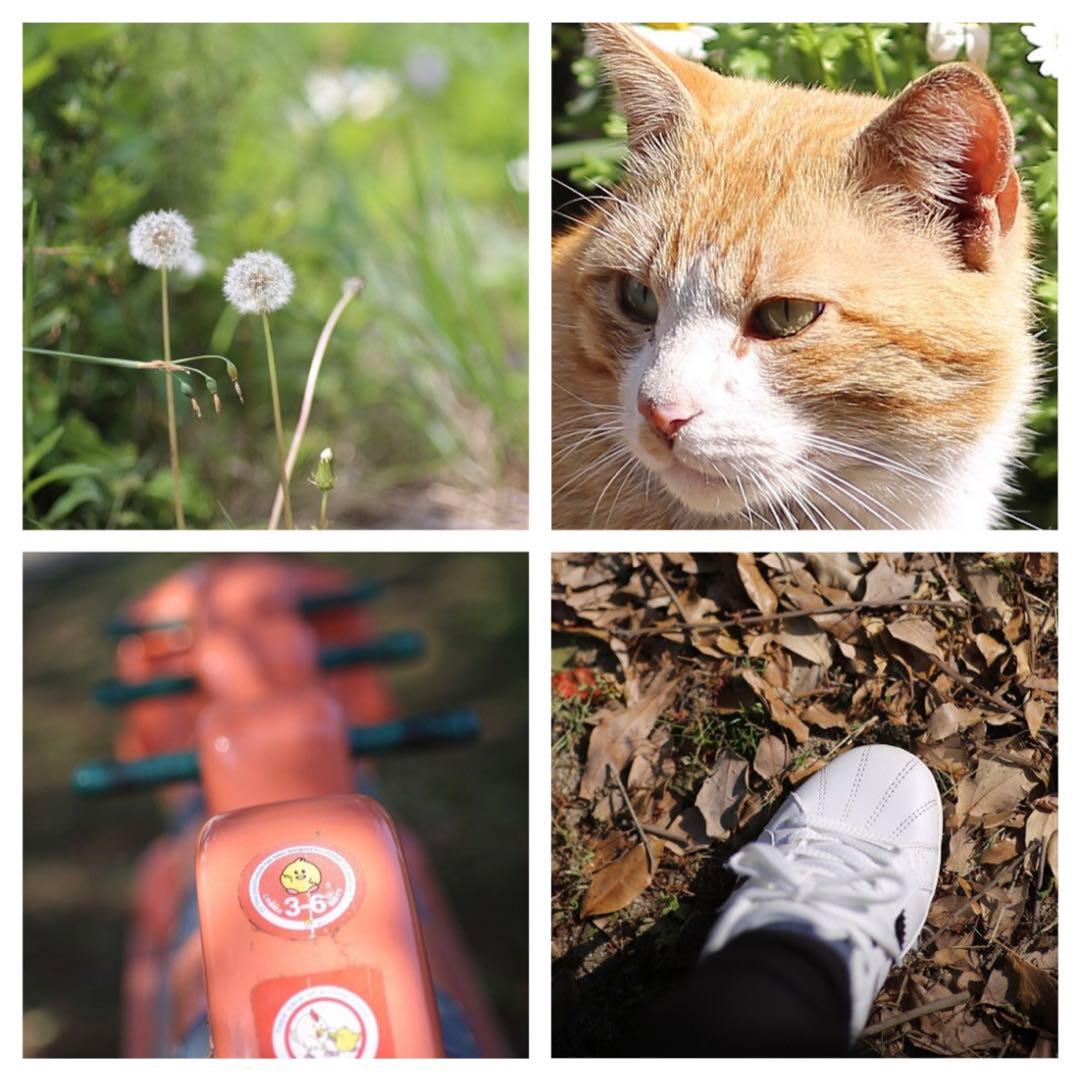 大人気！Canon一眼レフ用サードパーティ製単焦点レンズ！初心者サポート付き！