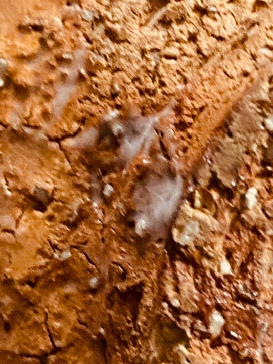 お値下げ　萩焼　大鵬山 大井戸茶碗琵琶色　椿窯 大鵬山作