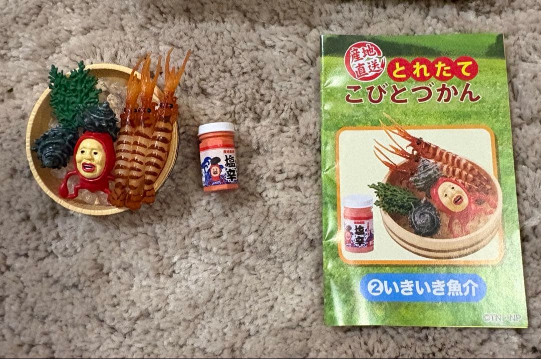 産地直送とれたてこびとづかん　全6種類セット