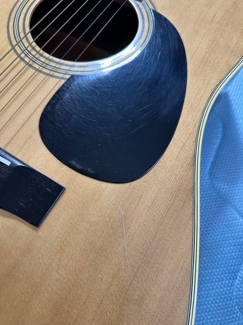 Morris W-20 アコースティックギター ケース付き