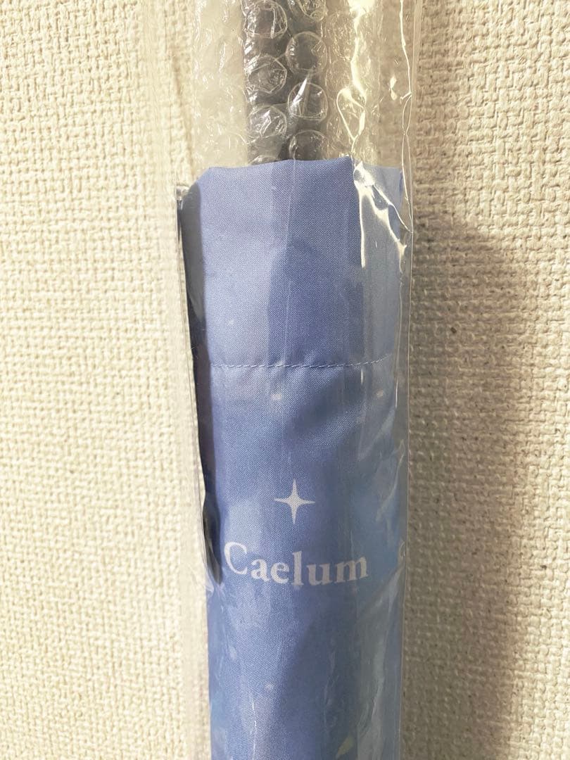 【激レア】 PLAVE 2023年 ASTERUM UMBRELLA 長傘