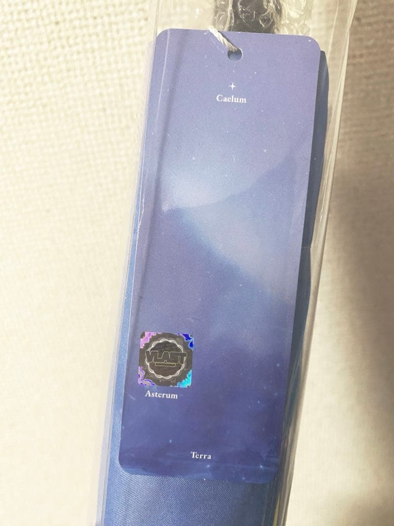 【激レア】 PLAVE 2023年 ASTERUM UMBRELLA 長傘