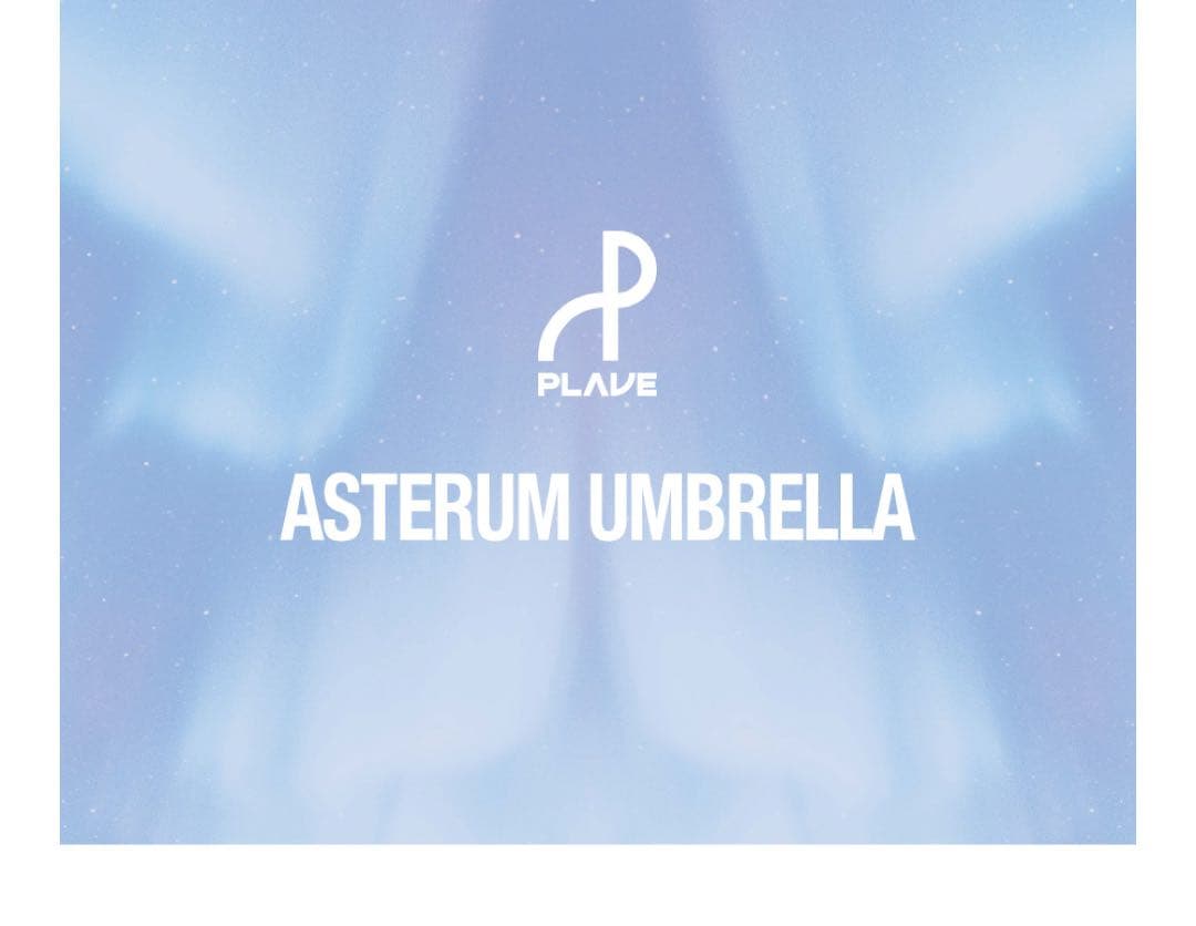 【激レア】 PLAVE 2023年 ASTERUM UMBRELLA 長傘
