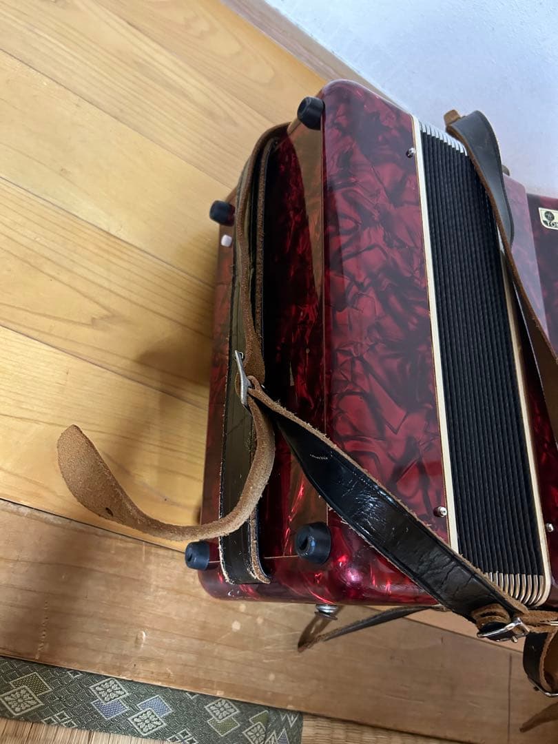 TOMBO アコーディオン No.252 25鍵盤楽器 専用ケース付