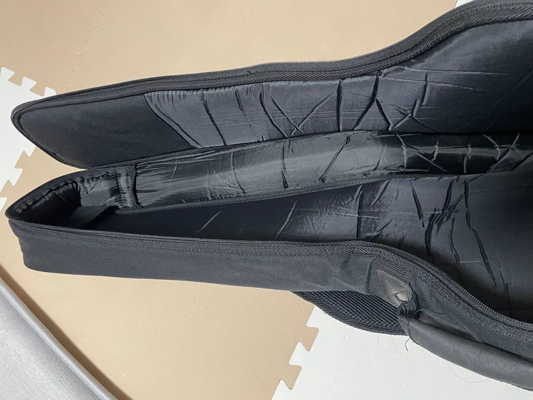 Takamine エレアコ　ギター　タカミネ純正ケース付き