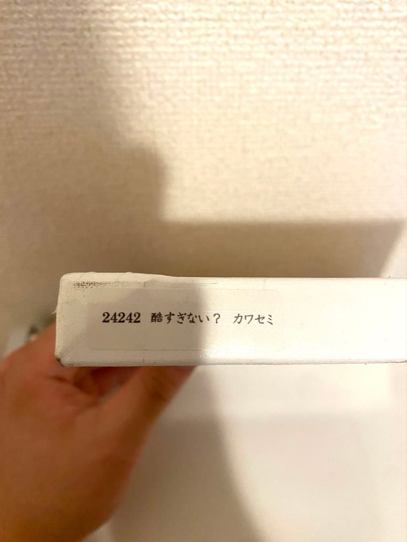 北村直登「酷すぎない？カワセミ」原画SMサイズ