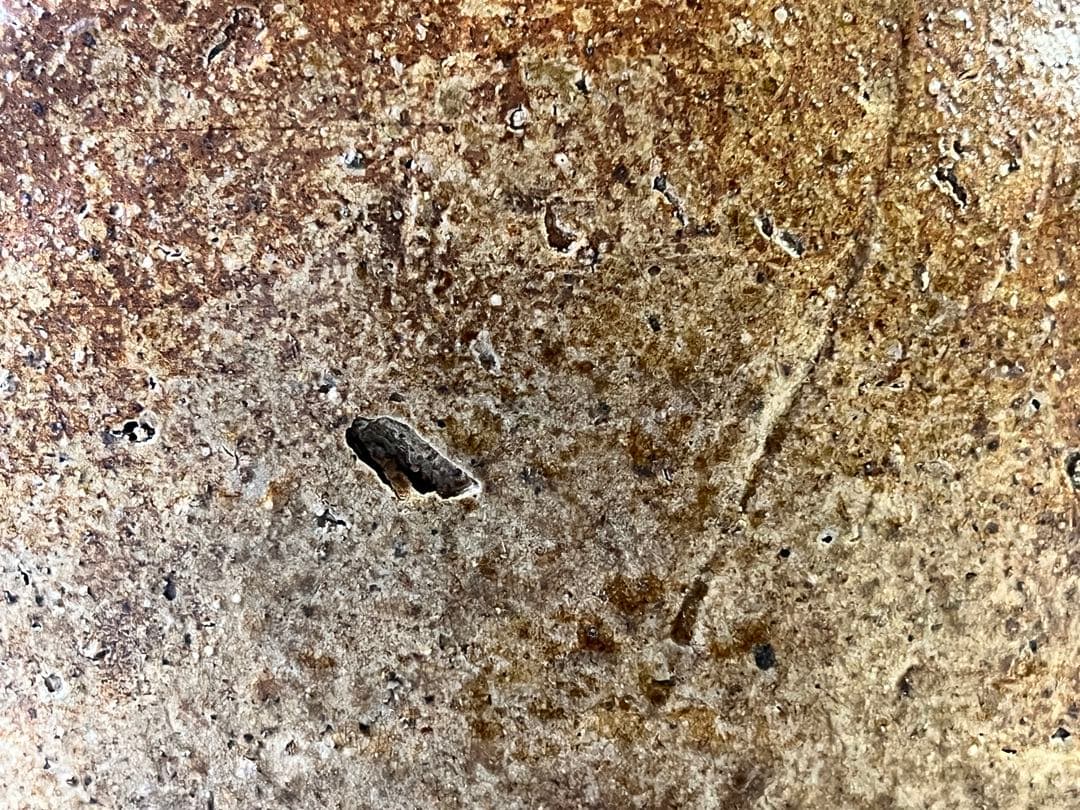 PR010 古信楽 古い 壷 コレクター蔵品