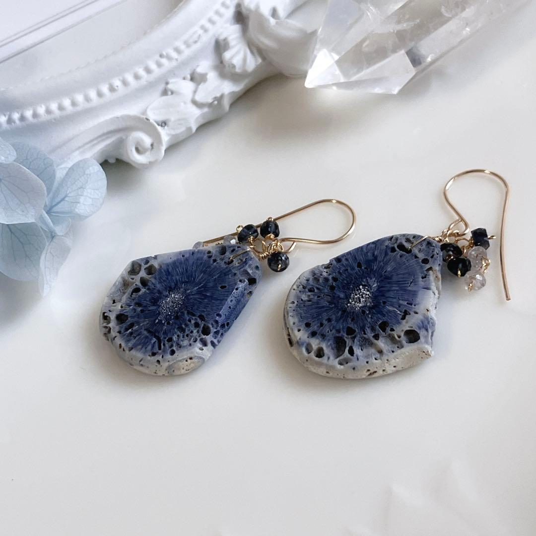 一点物✧希少✧ブルーフォッシルコーラルピアス✧ブルースピネル/サファイア
