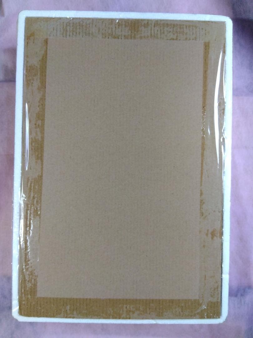 【中身未開封】 LBUILD デスティニーガンダム